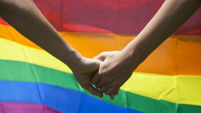 “LGBT”, Parpol Beresiko Dicap Negatif Jika Mendukung